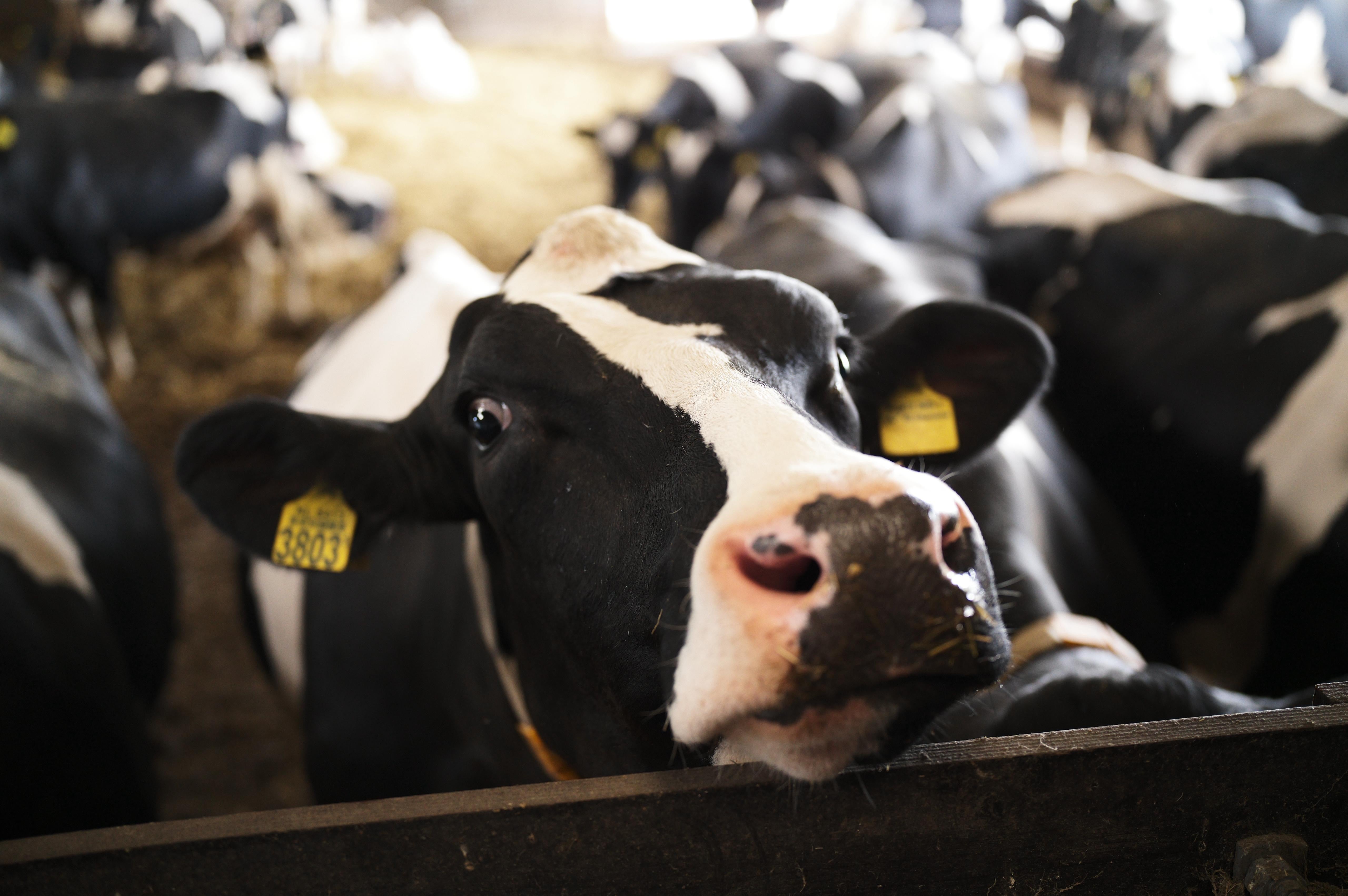 Easy Farming Lever Booster voor landbouw, zichtbaar met hendels en controleknoppen op een groene achtergrond
