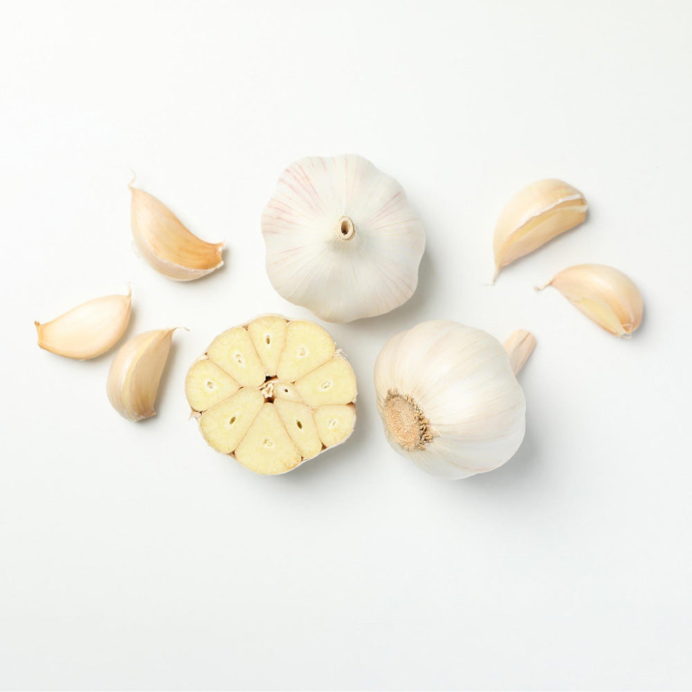 Easy Farming Dr Bok Bolus Extra, natuurlijke diervoederbolus voor goede gezondheid van dieren, zichtbaar in de afbeelding