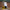 Promotiebanner