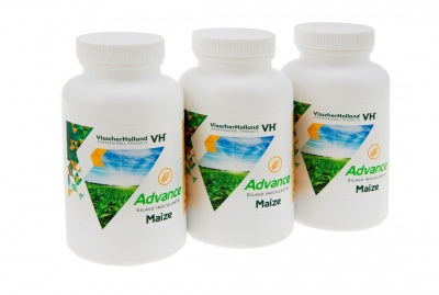 Zwarte doos met zakjes Advance Mais Easy Farming zaden voor thuis tuinieren, klaar voor Planting.